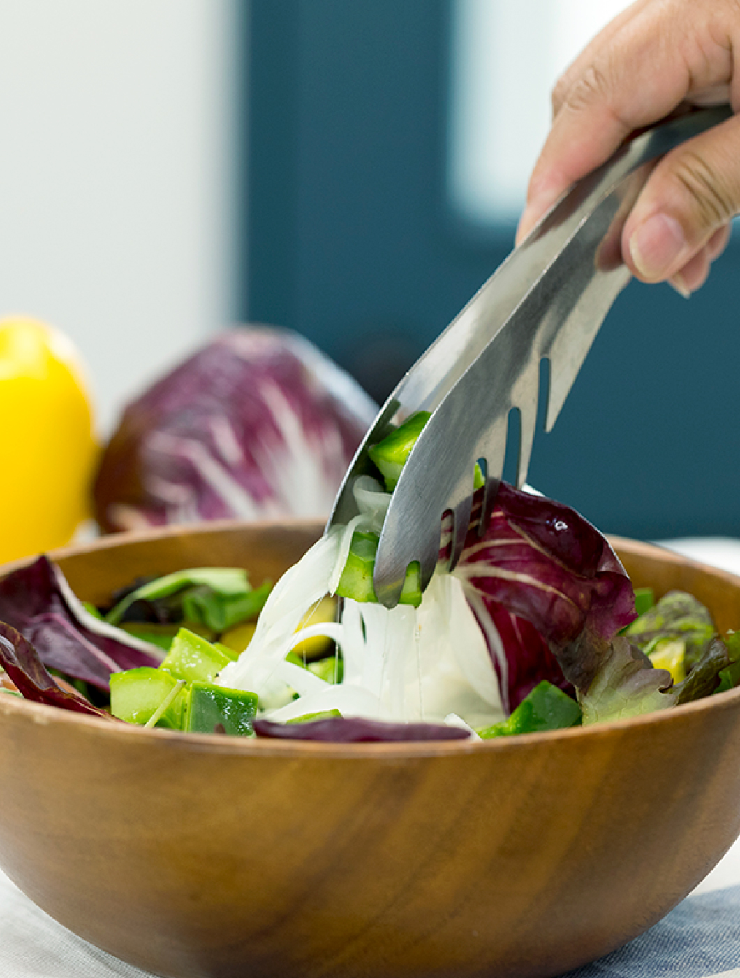 食べるサボテン 太陽の葉 収穫